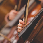 A close up of cellos being played.