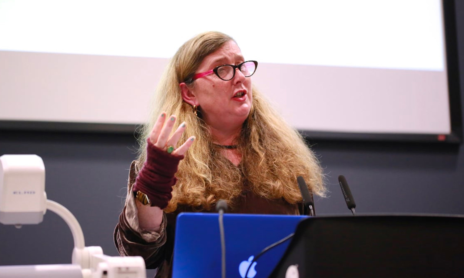 Vanessa Toulmin, Professor and Director of City & Culture, University of Sheffield