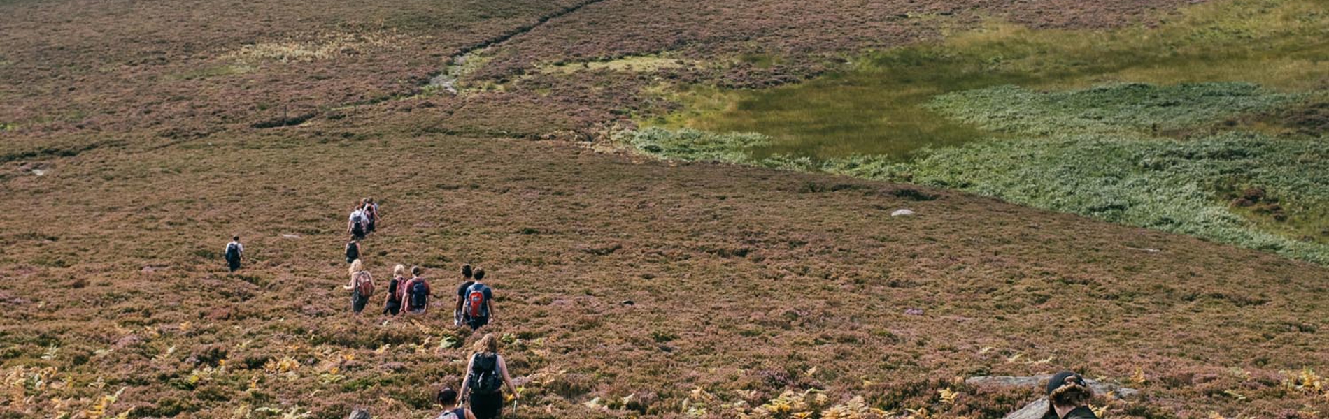 Group of people walking through the heather in the countryside.