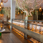 A stylish restaurant interior with long wooden tables, warm pendant lights, decorative trees in large planters and shelves of glass jars lit with fairy lights, creating a soft, ambient glow.