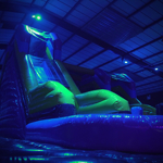 A huge, inflatable obstacle course with slides.