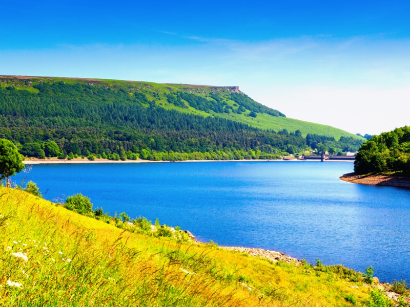 A lake in the sunshine.