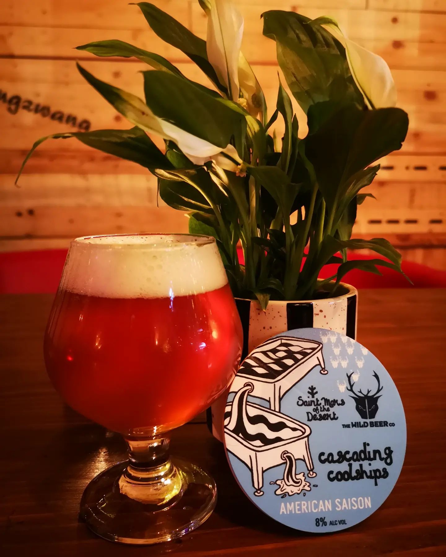 A glass of beer on a table next to a small pot plant at Jabbarwocky.