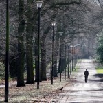 A tree lined promenade at Norfolk Heritage Park.