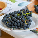 A close up of a bunch of red grapes on display at a horticultural show.