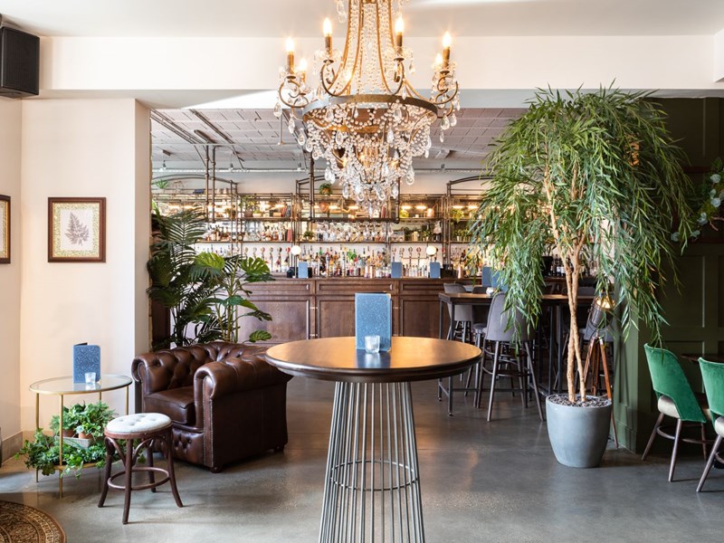The interior of The Lost & Found, there are lots of plants and a chandelier hangs from the ceiling.