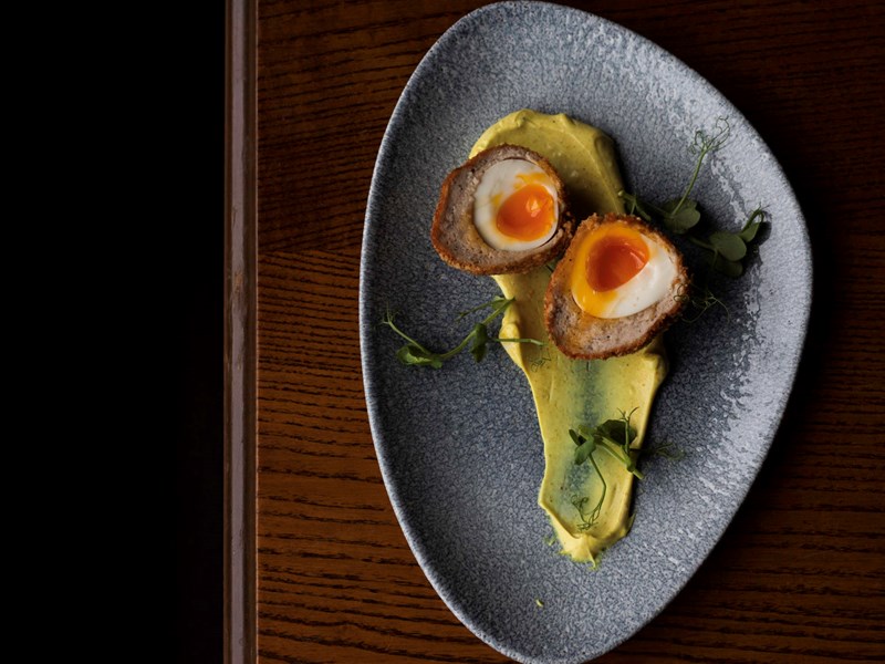 A plate with a scotch egg cut in two.