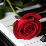 A red rose lying on a piano keyboard.