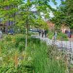 A small tree is surrounded by grasses and wild flowers.