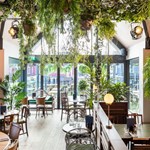 Interior of The Lost & Found, there are lots of hanging plants trailing down from the ceiling.