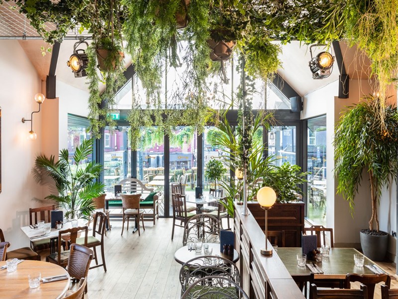 Interior of The Lost & Found, there are lots of hanging plants trailing down from the ceiling.