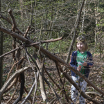 A child building a camp in the woods from sticks and fallen branches.