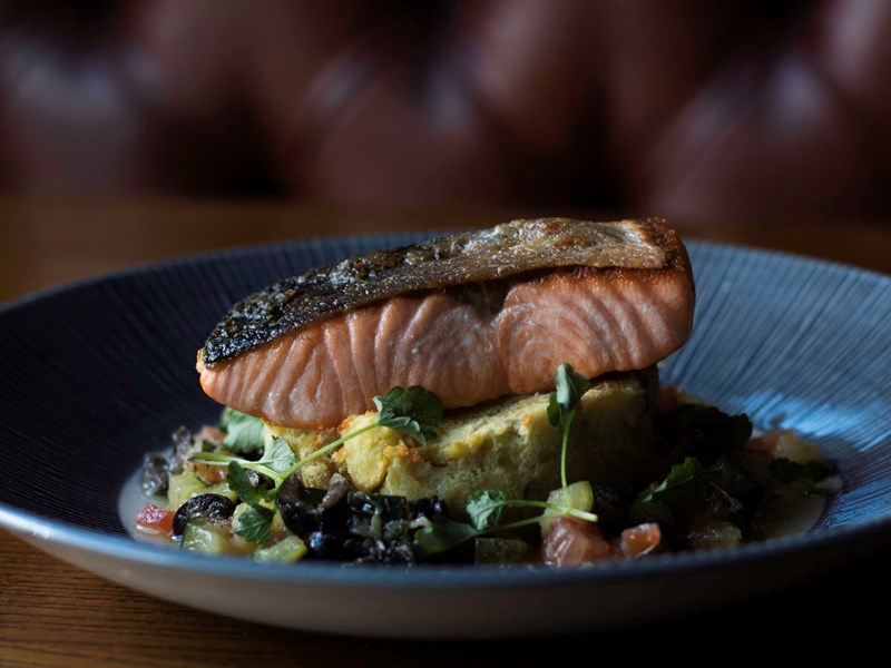 A dish of cooked salmon.