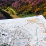 A map being examined.