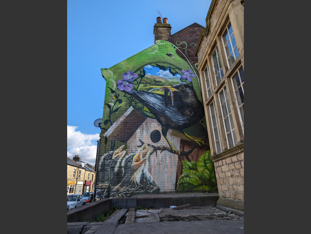 Large mural painted on the side of a brick building depicting a blackbird feeding two chicks in a nest, surrounded by green leaves and purple flowers. The artwork covers the entire wall and is set against a backdrop of terraced houses and a partly cloudy sky.