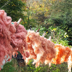Fibres drying on a line.
