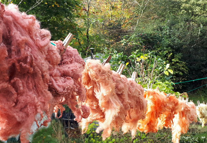 Fibres drying on a line.