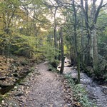 A path through woods that runs alongside a river on the Rivelin Valley Trail.