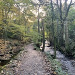 A path through woods that runs alongside a river on the Rivelin Valley Trail.