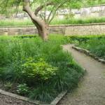 Sheffield General Cemetery Gardens