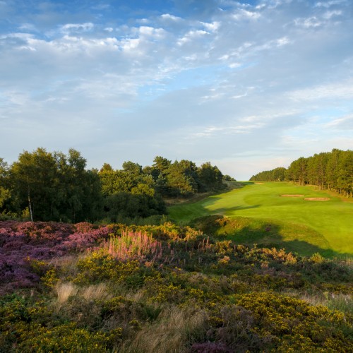 In the rough at Hallamshire Golf Club.