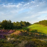 In the rough at Hallamshire Golf Club.