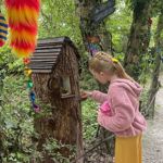 A child looking at a house built into a tree stump at the Tropical Butterfly House Wildlife Conservation Park.