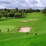 One of the greens on the Tinsley Park Golf Course.
