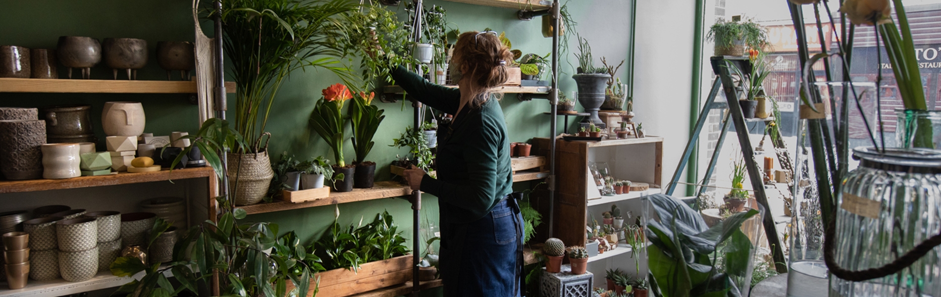 Inside Plantology at Walkley. The whole shop is filled with plants and plant pots. A woman is stocking one of the shelves.
