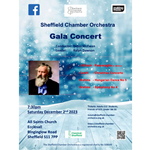 Promo poster for the Winter Gala Concert listing all the details of the event.