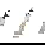 Product display for Maxines of Sheffield 