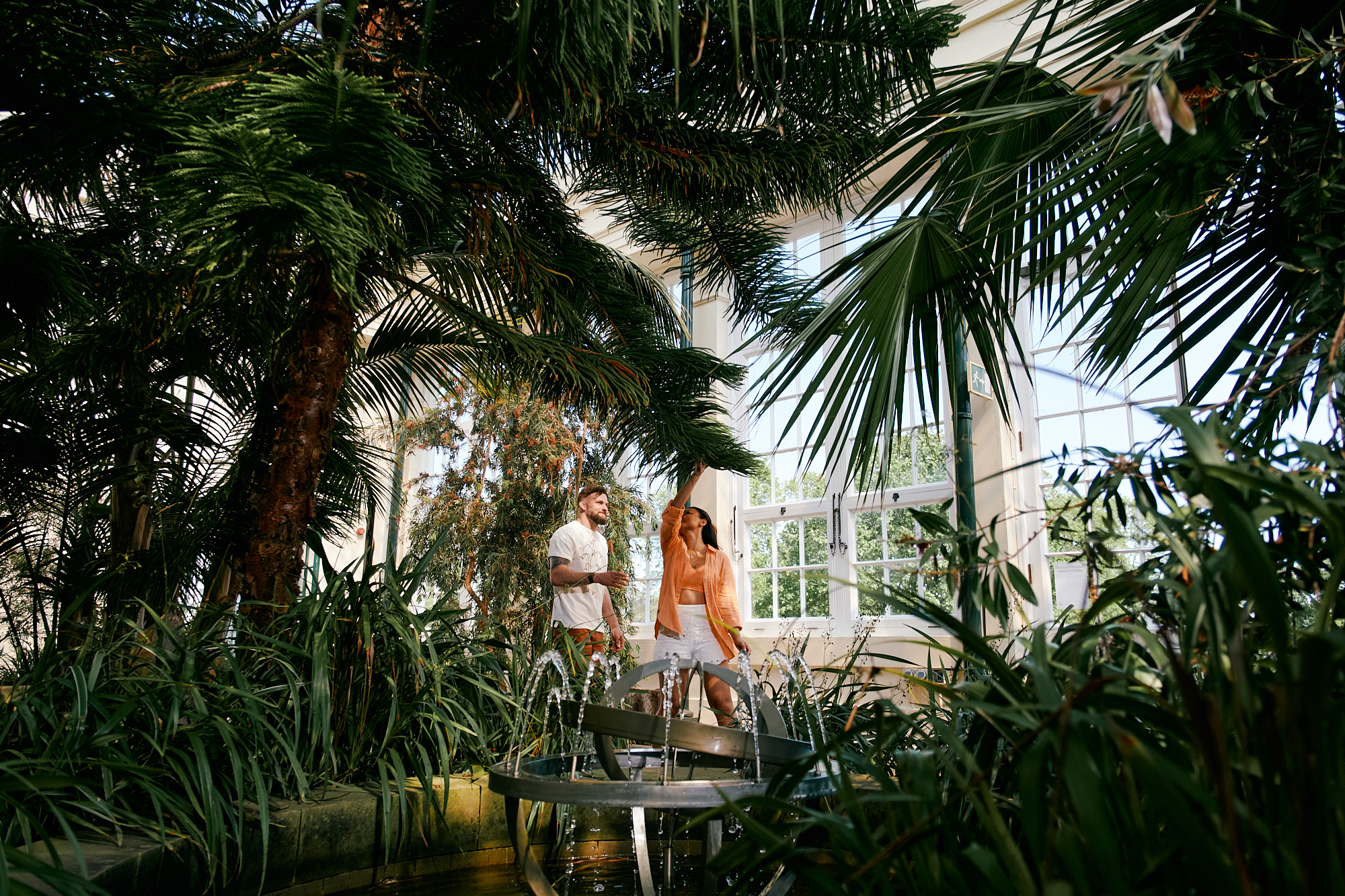 Inside The Glass Pavillions At Sheffield Botanical Garden