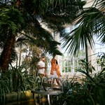 Inside The Glass Pavillions At Sheffield Botanical Garden