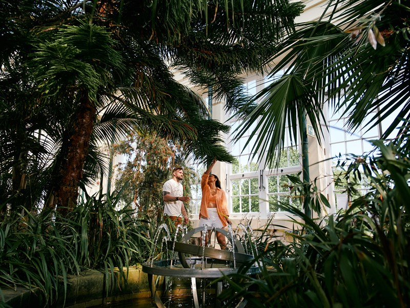 Inside The Glass Pavillions At Sheffield Botanical Garden