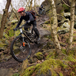 People mountain biking in the countryside.