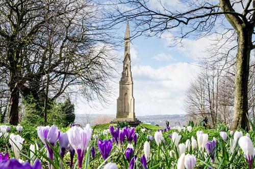 A tall stone monument with a pointed spire stands in a landscaped park surrounded by trees. In the foreground, vibrant purple and white crocus flowers bloom, creating a colorful frame for the monument. The background shows rolling hills under a partly cloudy sky, adding depth to the scenic view.