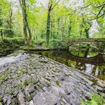 Rivelin Valley Trail walk, with the trees reflecting in the water.