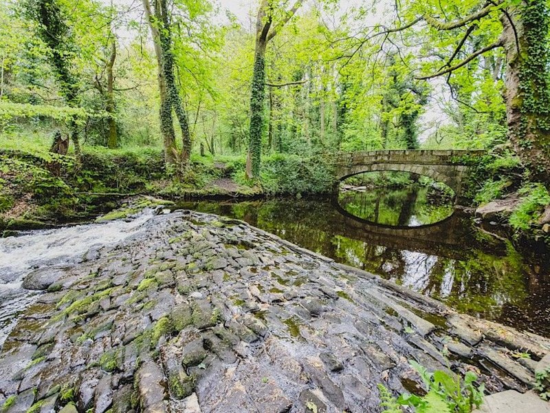 Rivelin Valley Trail walk, with the trees reflecting in the water.