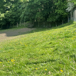 A grassy fenced in area, surrounded by trees, at Rivelin Valley Dog Park.