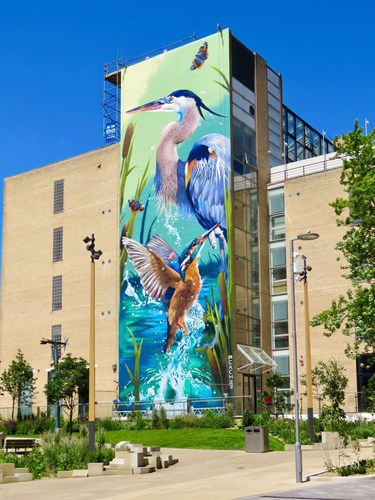 Tall brick building with a large, colorful mural depicting two herons and a kingfisher among reeds and water, with butterflies flying around. The mural spans several stories and is painted on a glass section of the building. The foreground shows a landscaped plaza with trees, benches, and streetlights under a clear blue sky.