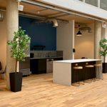 An interior shot of Cubo showing a kitchen area with free-standing worktop with three high stools.