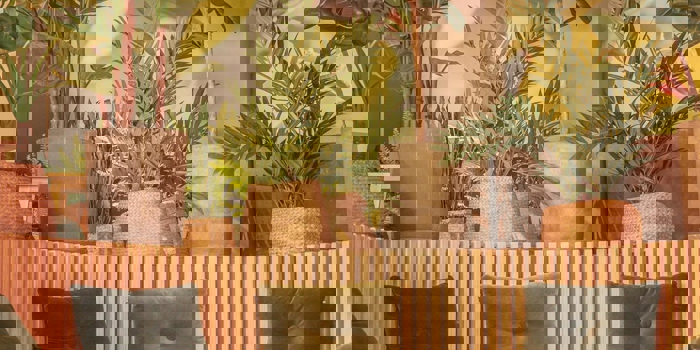 Photograph of the interior of Hygge.