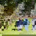 Three children running around in a field.