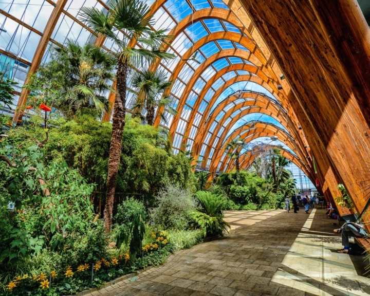ndoor botanical garden with a high arched glass roof supported by large wooden beams. The walkway is lined with lush greenery, including palm trees, flowering plants, and dense foliage. Sunlight streams through the glass panels, creating a bright and vibrant atmosphere. Benches are placed along the path, and the space feels open and tropical.
