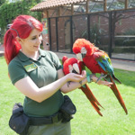 A woman with two parrots on her arm.