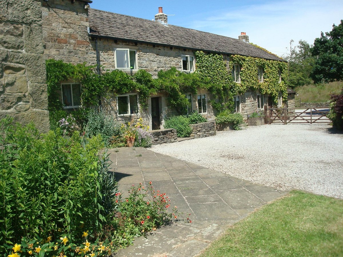Loadbrook Cottage – exterior view with green foliage draping across the front of the building.
