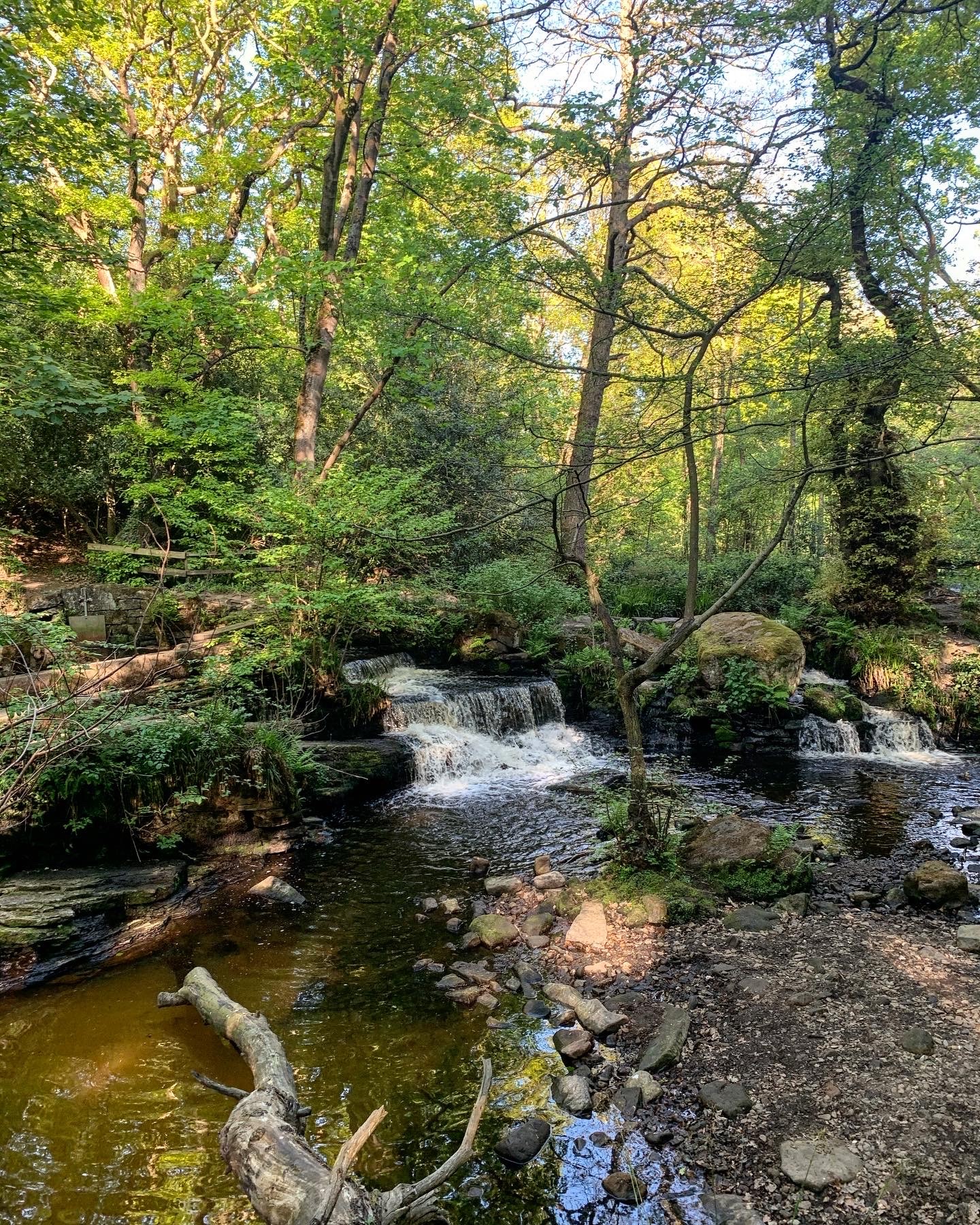 A small water fall on the  Rivelin Valley Trail.
