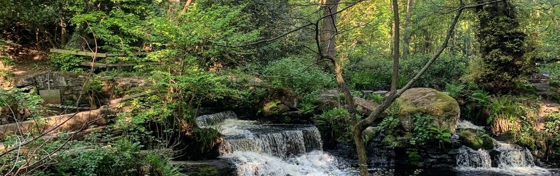 Rivelin Valley Trail, Sheffield