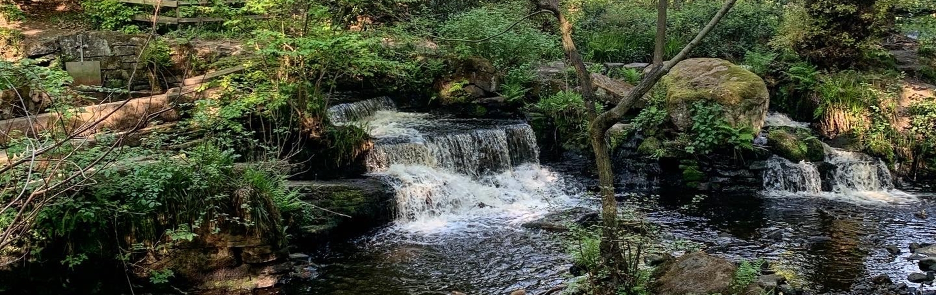 A small water fall on the  Rivelin Valley Trail.