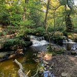 A small water fall on the  Rivelin Valley Trail.
